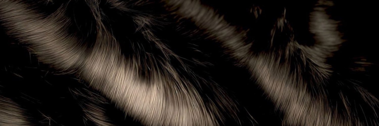 cox_q1's profile banner image