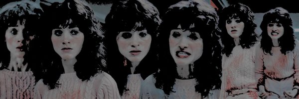 journaledguns Profile Banner