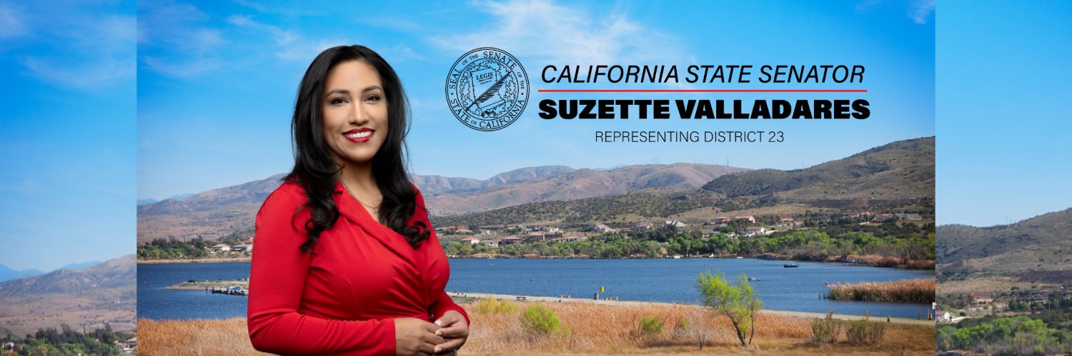 Senator Suzette Valladares's banner