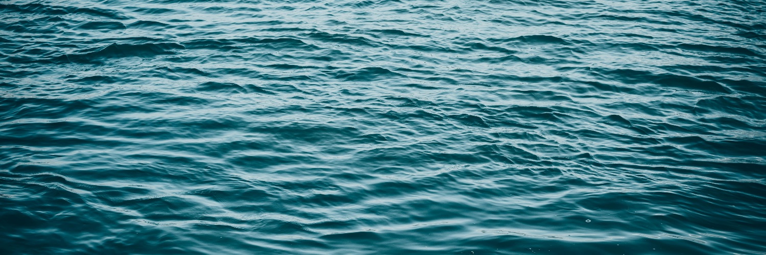 Clover 🍀 🍉 banner