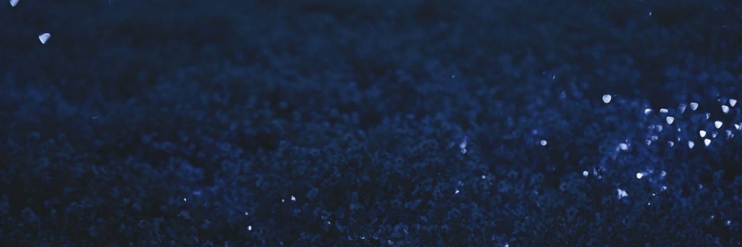 bociel2356's profile banner image