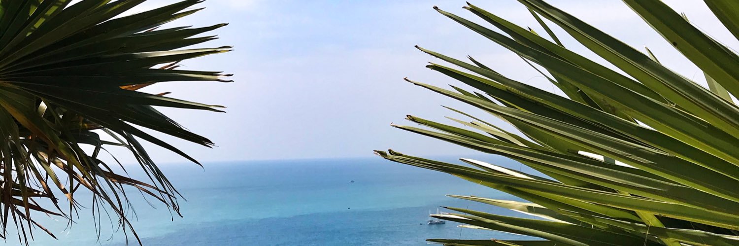 mendilin's profile banner image
