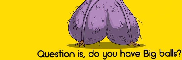 BIGBALLSALGO Profile Banner