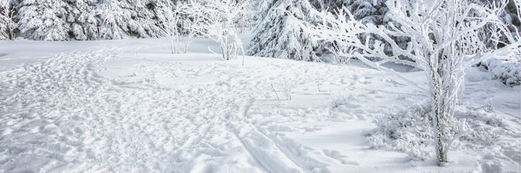 wunds_'s profile banner image