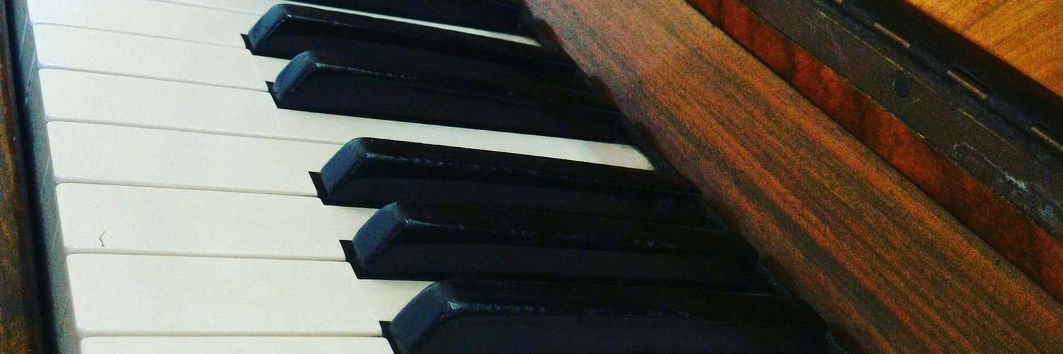 L_bortolozo's profile banner image