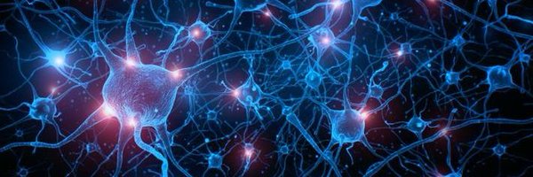 lab_neu2024 Profile Banner