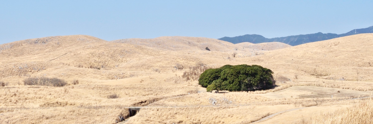 みねまち🌱カンタービレ♪ banner