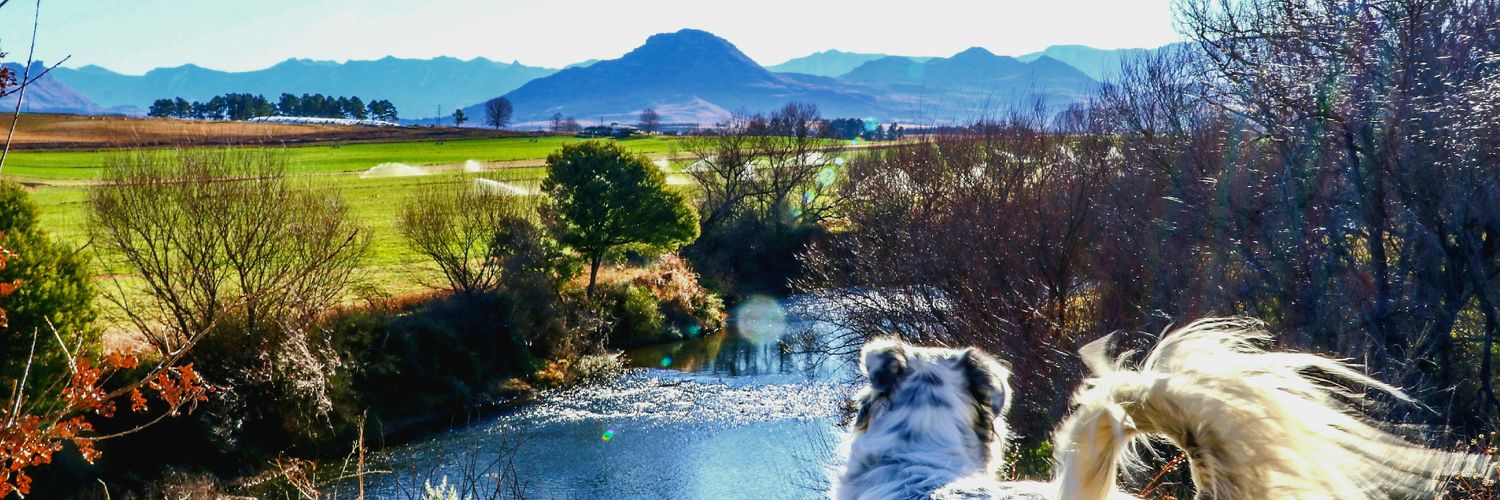 Monique van der KZN 🇿🇦 banner