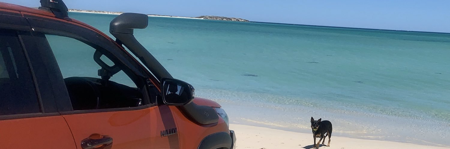 bustlingbaz's profile banner image