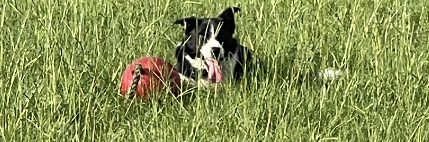 Jamie AUTHOR/MINDSET COACH banner