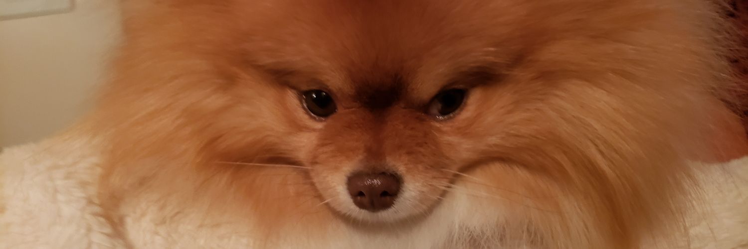 Sanf12277Samuel's profile banner image