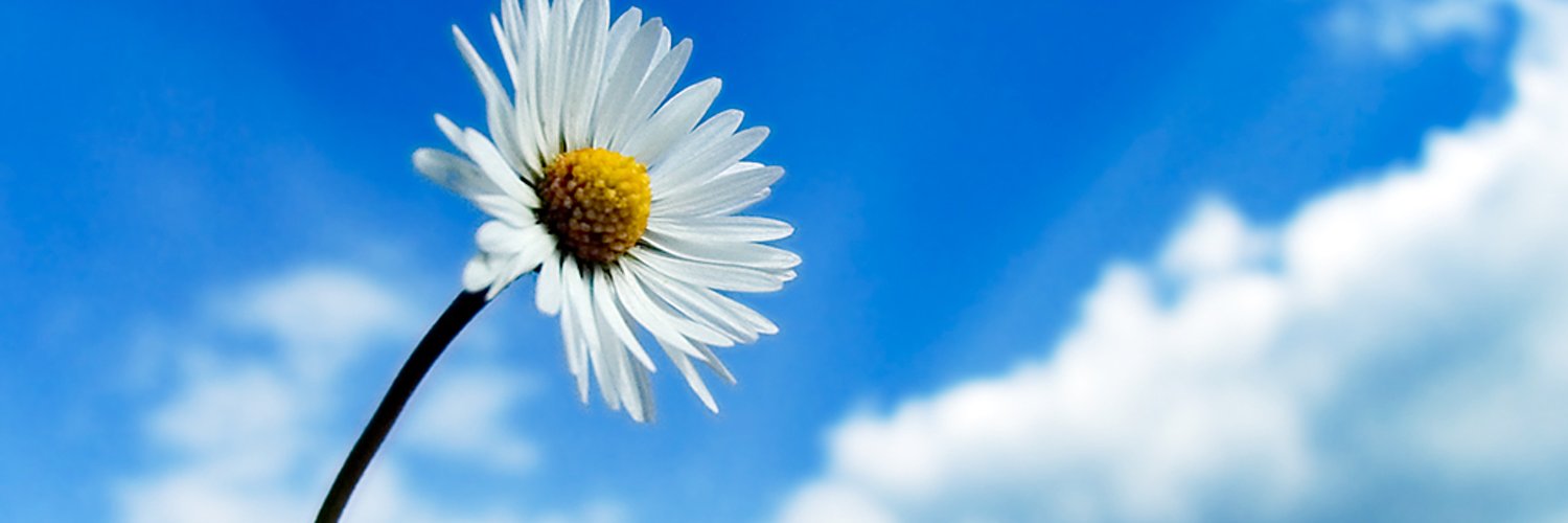 Conaif instaladores banner