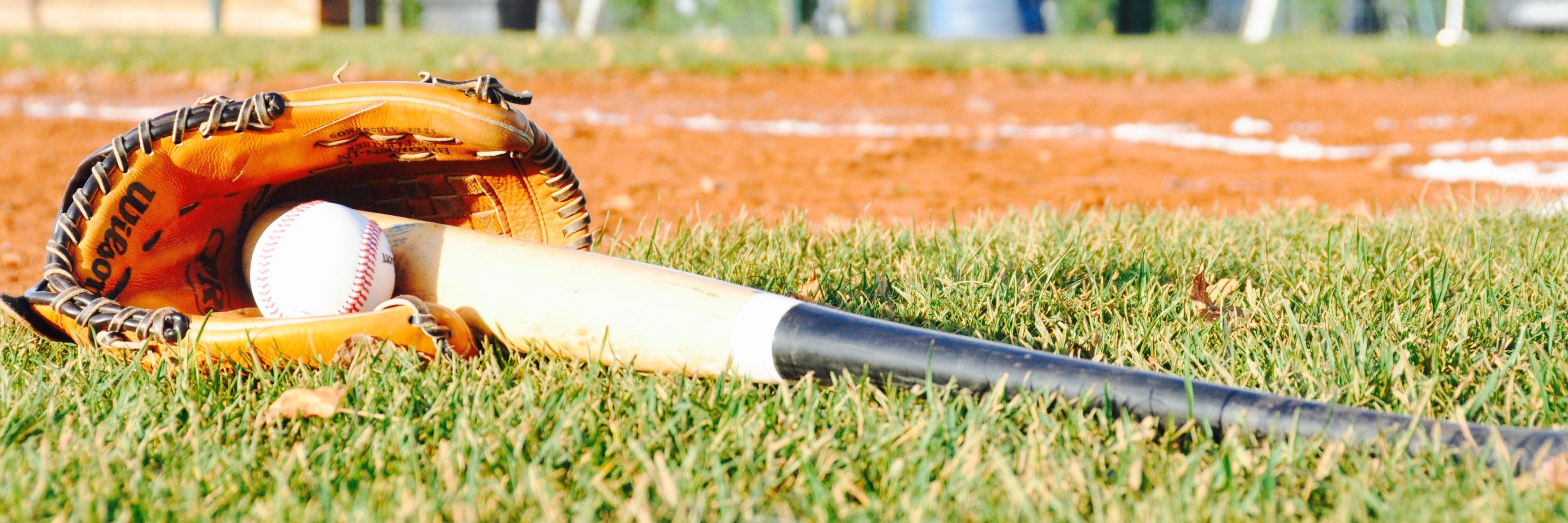 Lions de Savigny banner