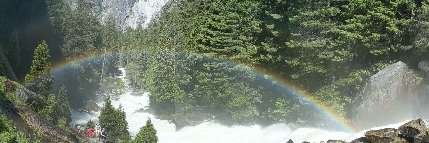 Nushelle de Silva banner