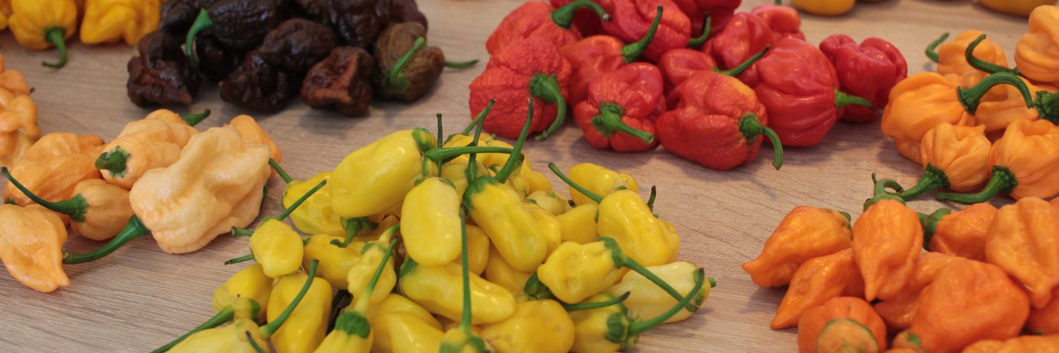 chillifoundry's profile banner image