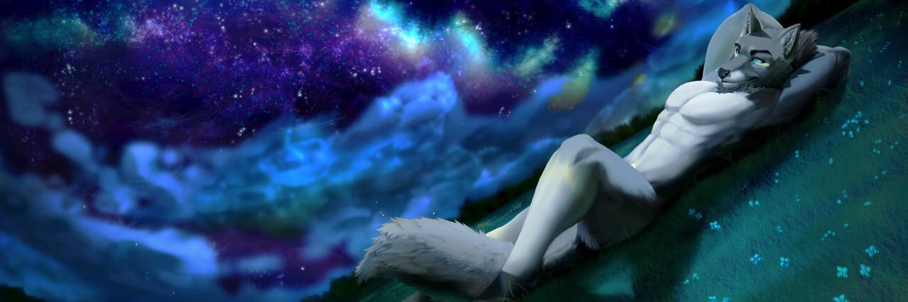 Lukas McDiarmid banner