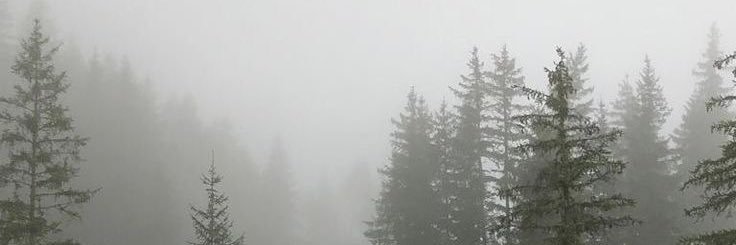 pinepine banner
