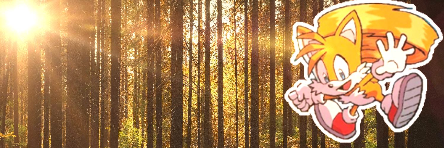 Miles ‘‘Tails’’ Prower banner