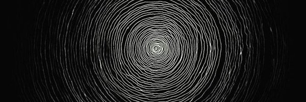 hllweenplant Profile Banner