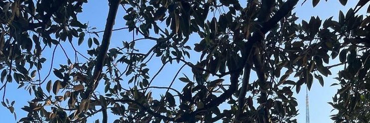 아니. 🇫🇷📵 banner