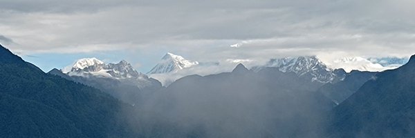 NavikaHarshe Profile Banner