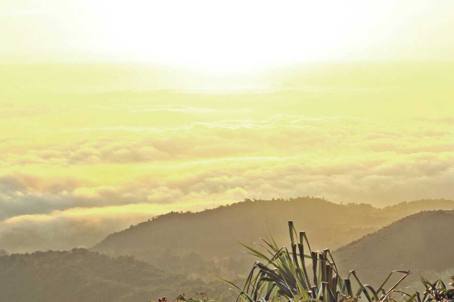 R_rabel's profile banner image
