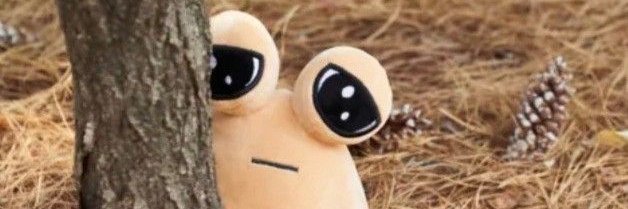 solarcookie3000 banner