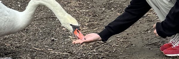 kaoriiskw Profile Banner