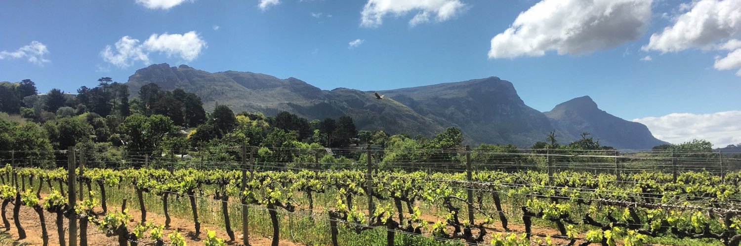 ConstantiaWineRoute banner