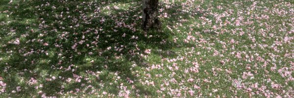 TheRedGoner Profile Banner