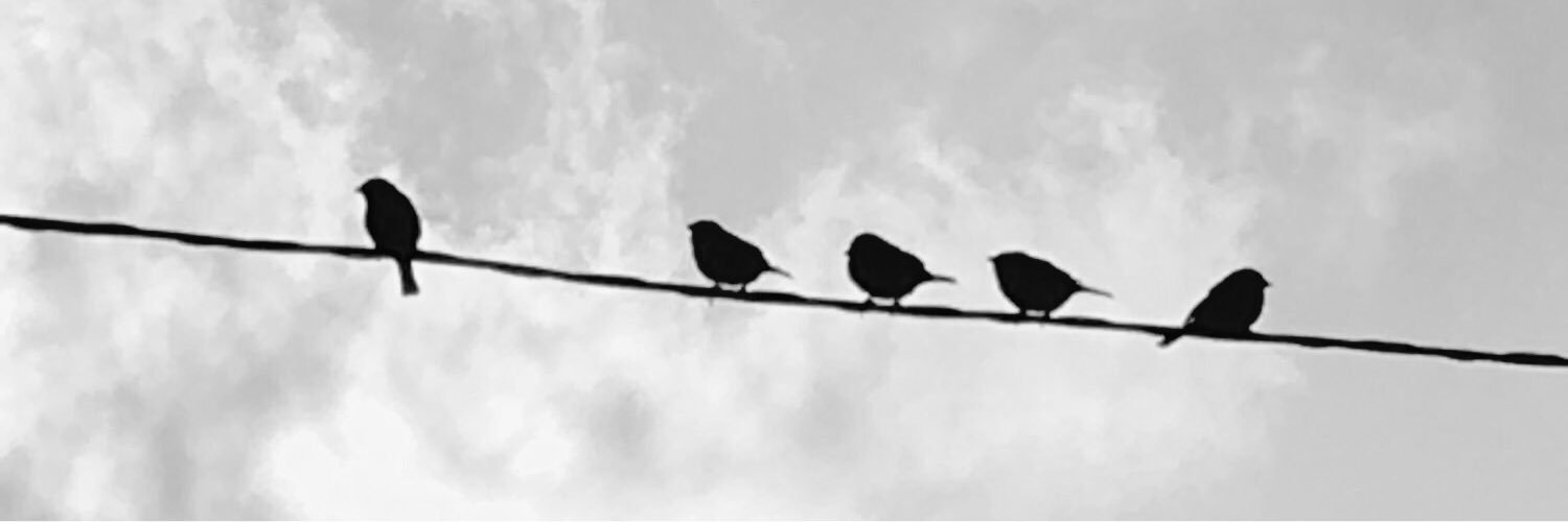 NTDKOKO's profile banner image
