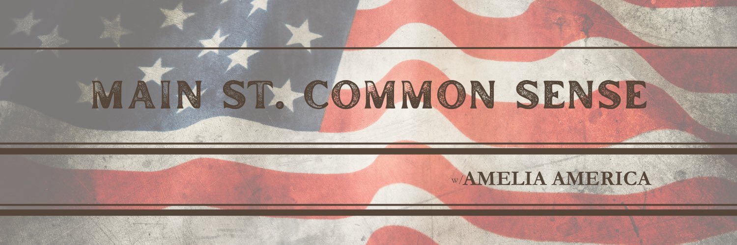 Amelia America's banner