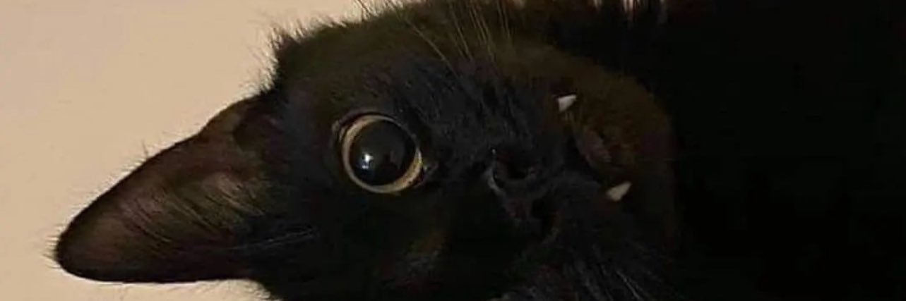 AgapeAlways_'s profile banner image