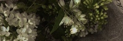 Minou's banner