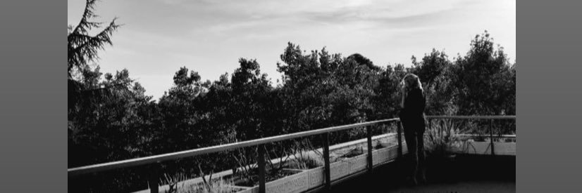 Susana Pinilla banner