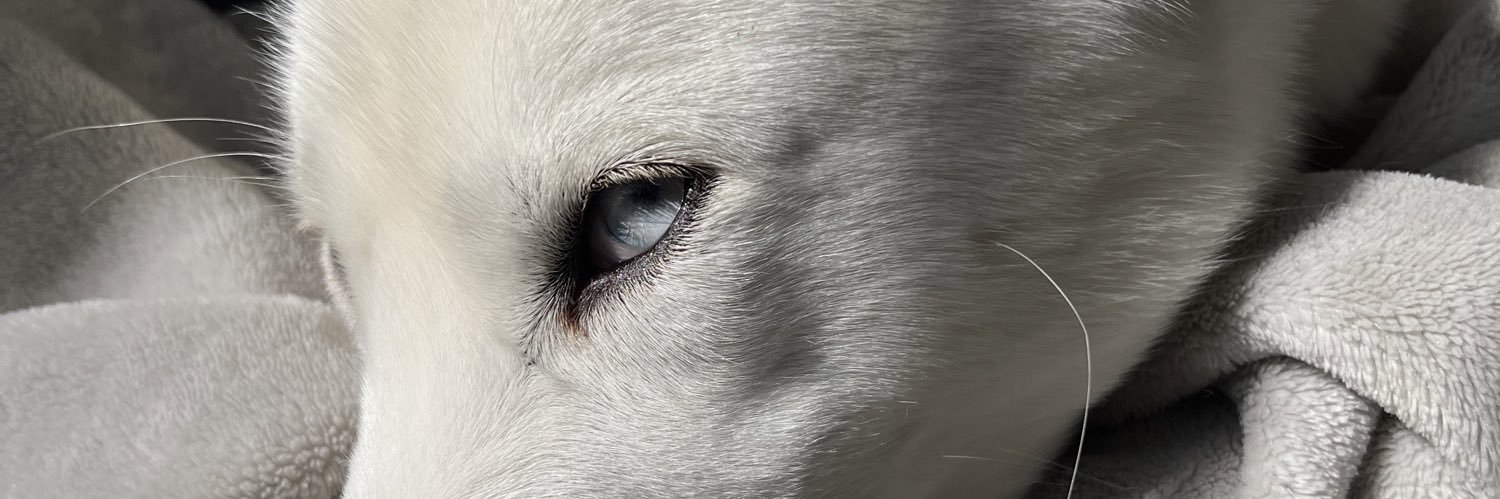 jamiew14's profile banner image