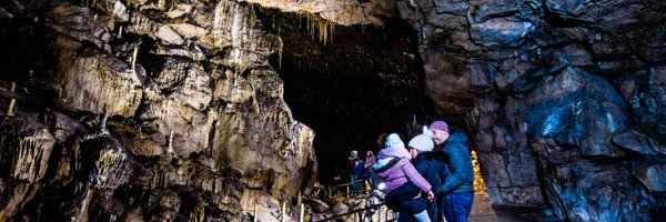 Poolescavern Profile Banner