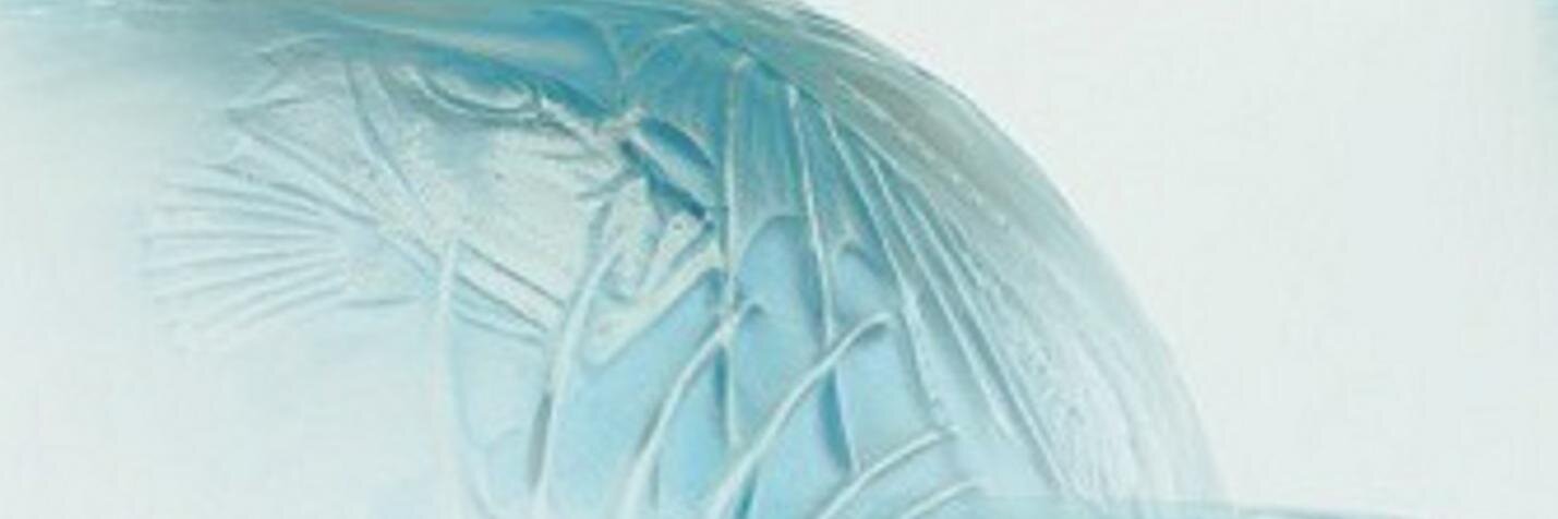 Natalie_Magnificent banner