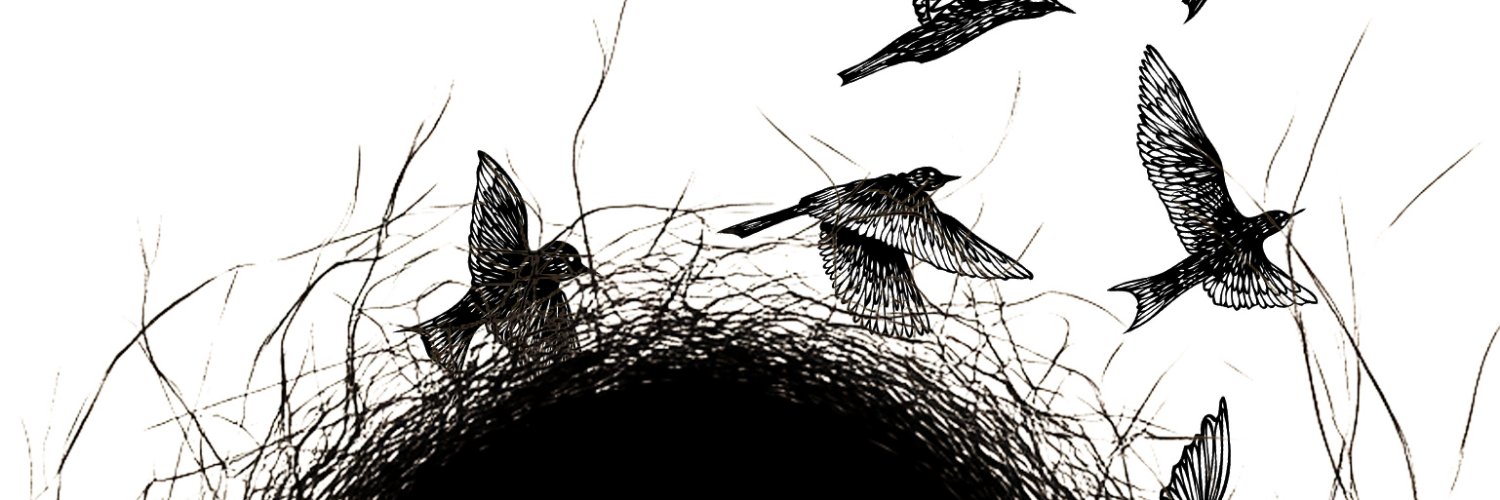 blake_p's profile banner image