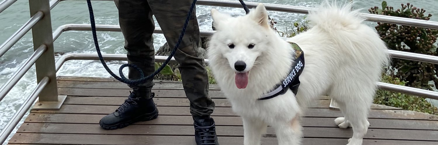 duALFA's profile banner image