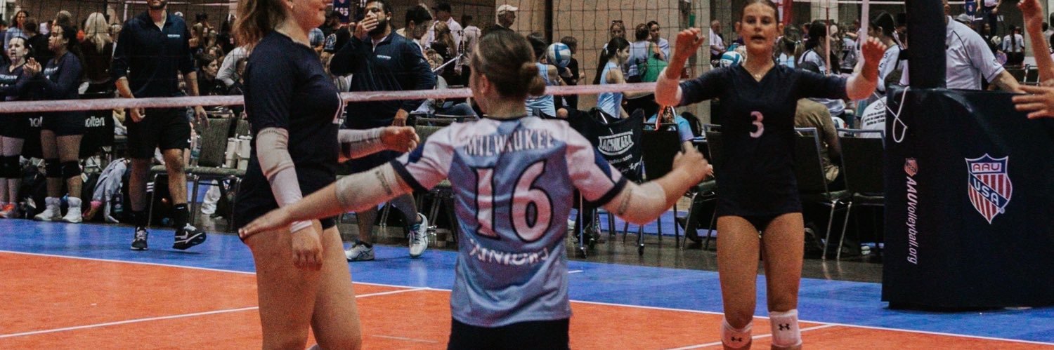 Penelope Chmielewski banner