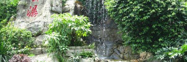 Mery Fongrus Djaya banner