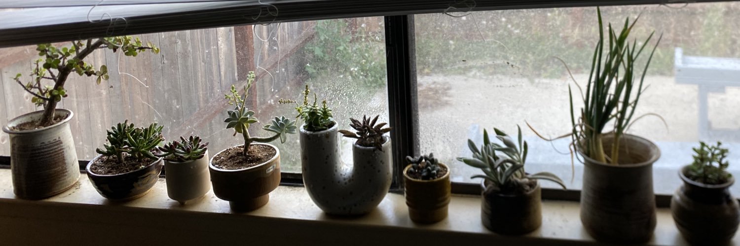 John W.F. Hughston banner