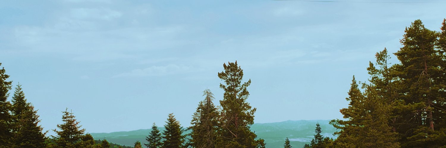 SelviSquad's profile banner image
