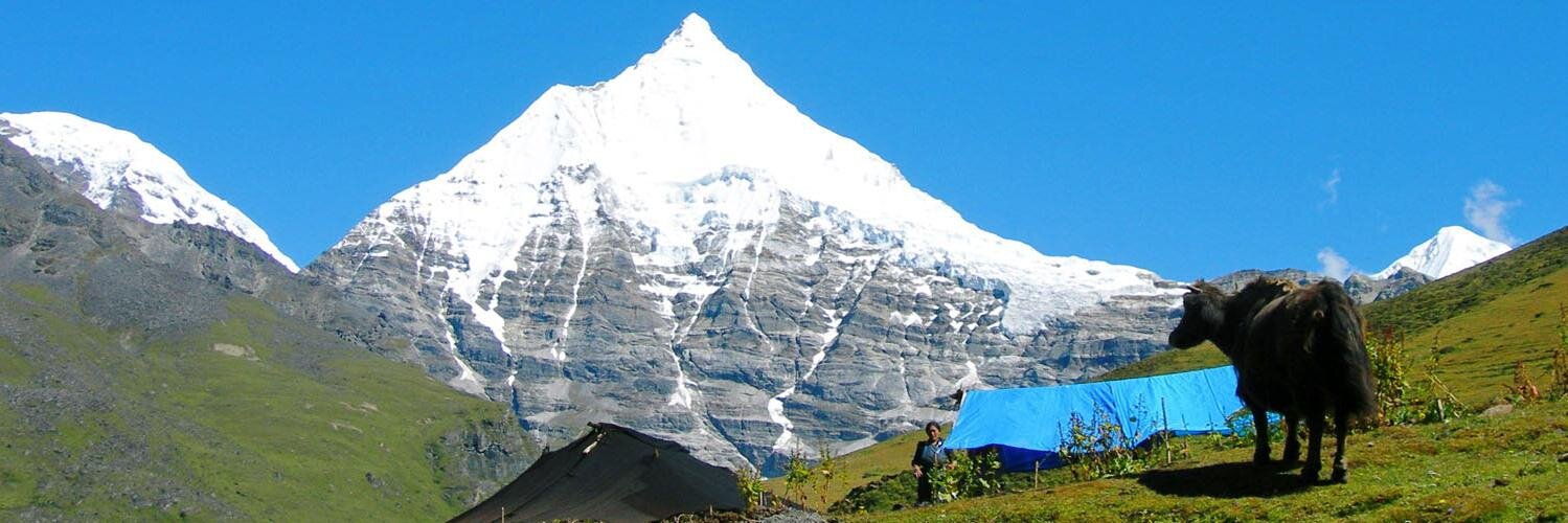 twangchutangbi's profile banner image