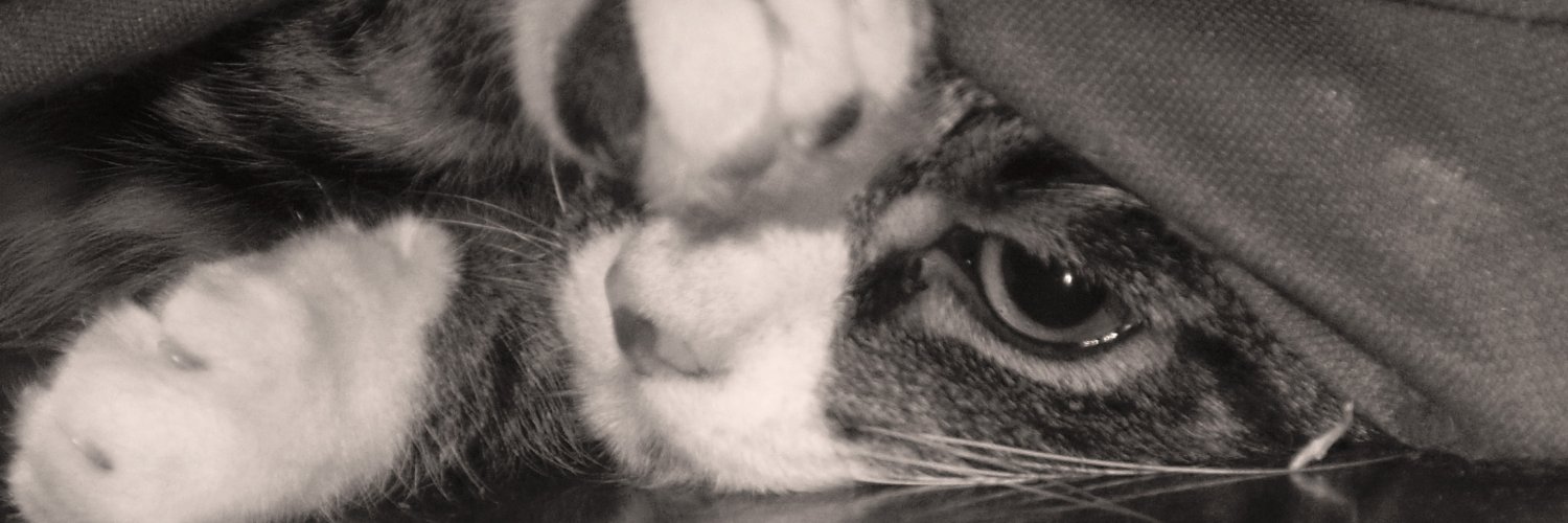 bobbhouse's profile banner image