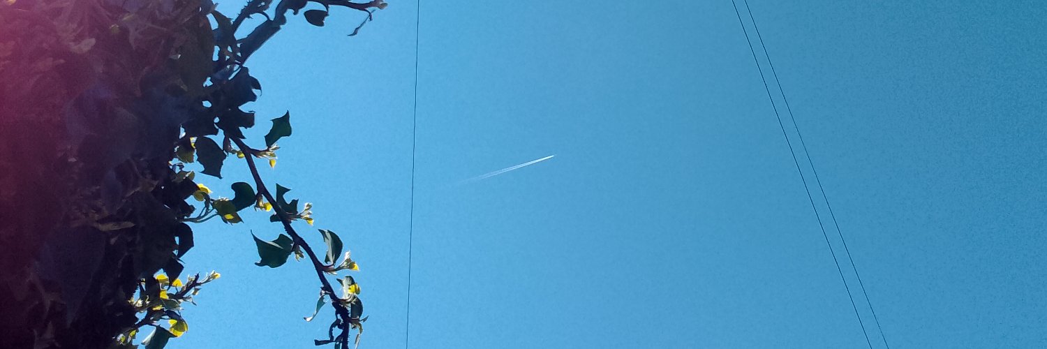 Michael Burnell Q guide banner