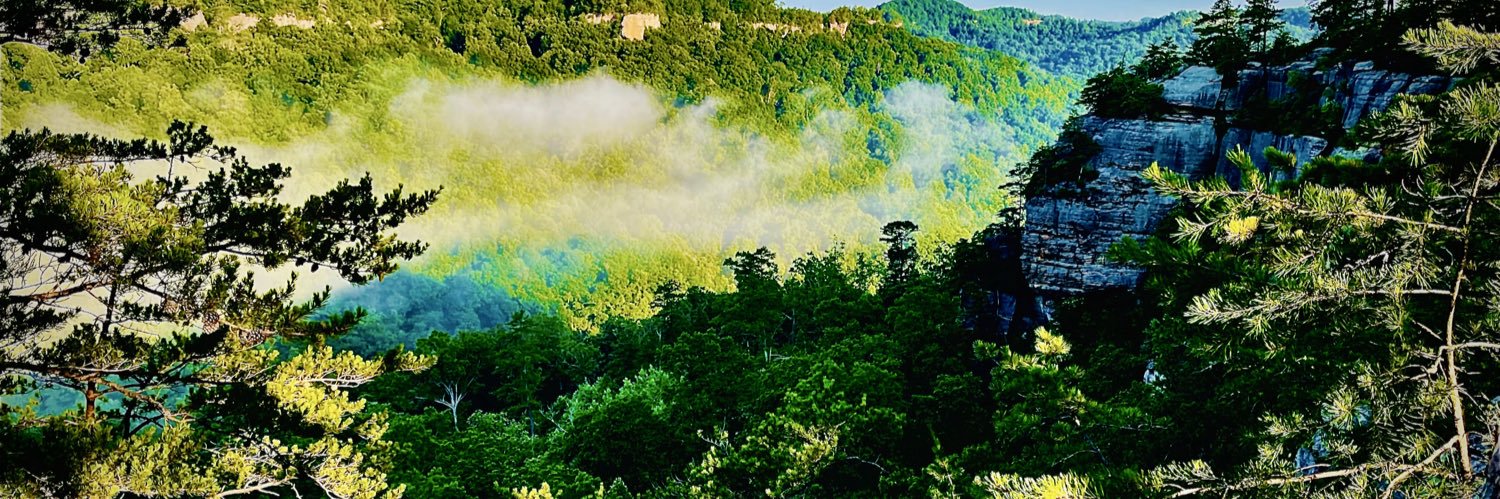 Nathancbowling's banner