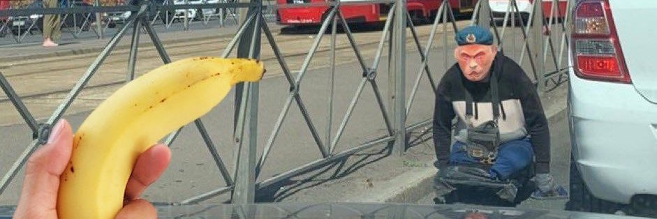 Totalen Zigger Todt banner