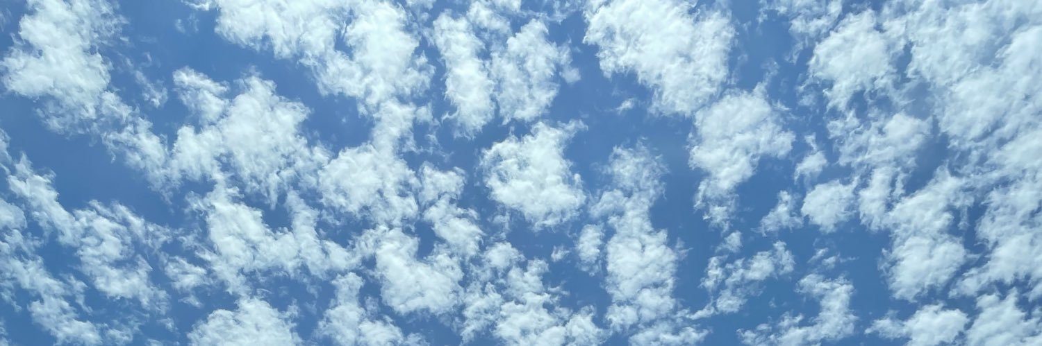 Mandyc28's profile banner image